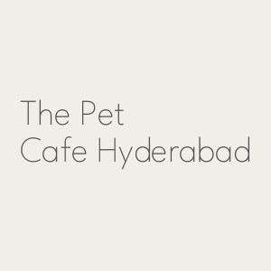 The Pet Cafe Hyderabad