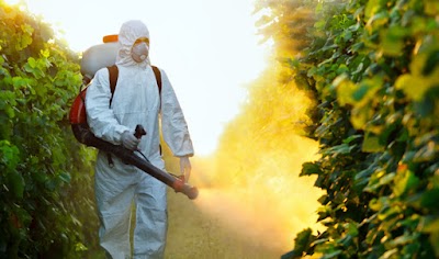 Ankita Pest Control Services (Mahim)