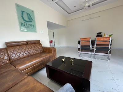 Blush Fine Makeup Art