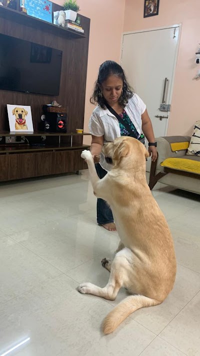 Good Boy Dog Training