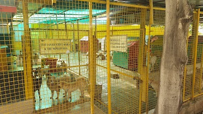 Charlie’s Animal Rescue Centre CARE Clinic