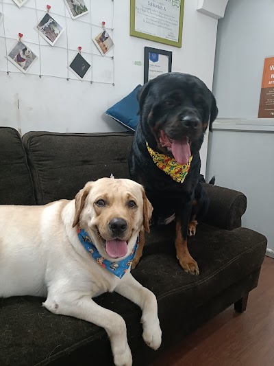 Cutz to Cuddlez Dog Salon & Spa