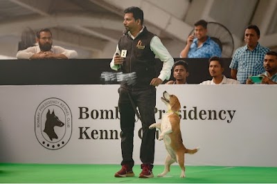 Dog Trainer in Mumbai