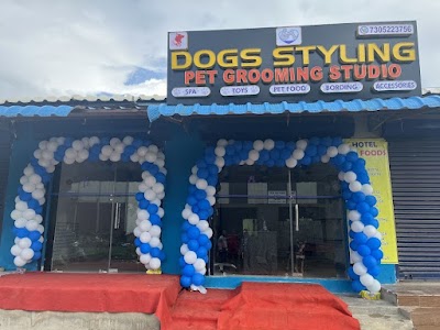 Dogs Styling Pet Grooming Studio
