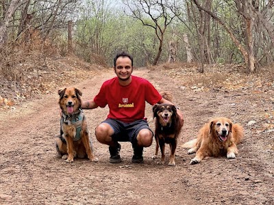 WoofWoofNow Dog Training