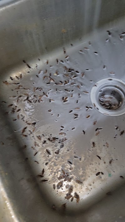 Godrej Pest Control (Hyderabad)