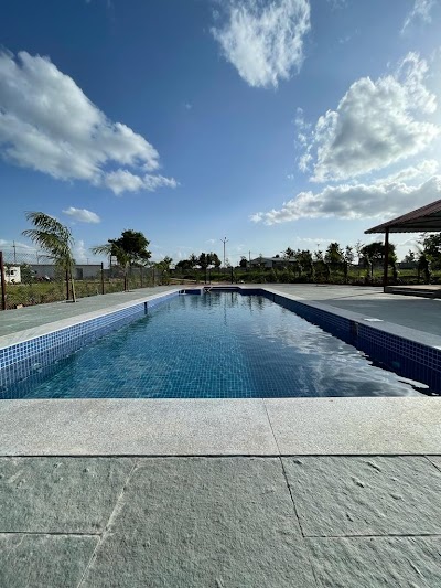 Hyderabad Dog Training Academy