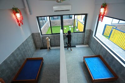 Jeffurry’s Pet Care