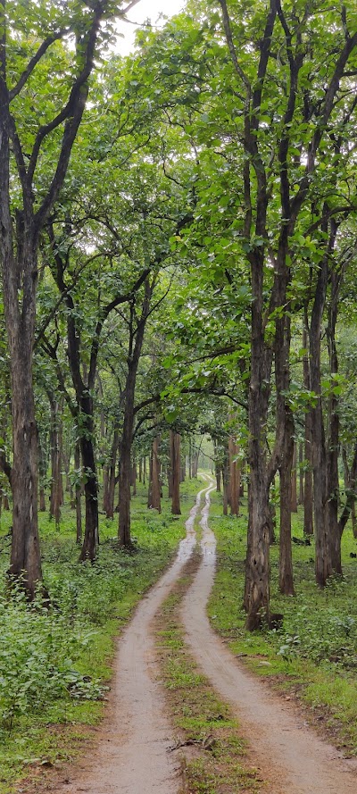 Kabini
