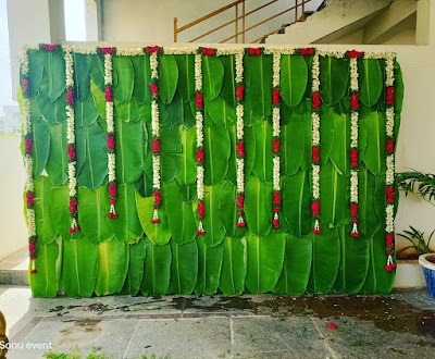 Magic Events and Wedding Planner