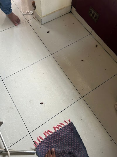 Micro Kills Pest Control Services