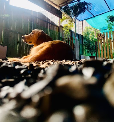 Awesome Pawsome Pet Spa