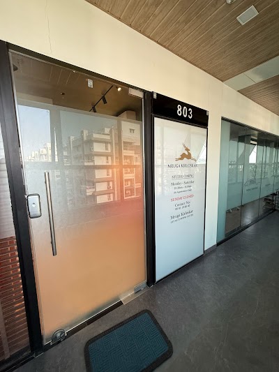 Margarita Sarees by Manasi Kirloskar