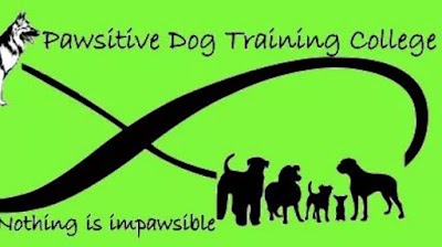 Pawsitive Dog Training Academy