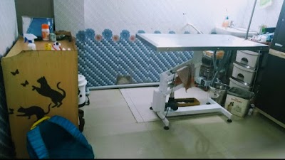 Petbliss Veterinary clinic