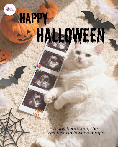 Pet's Paradise Multispeciality Hospital 24x7 by Dr. Ami Sanghavi