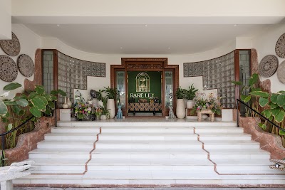 Rare Lily - Premium Furniture, Home Decor & Accessories