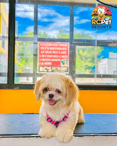 RC Pet Grooming & SPA