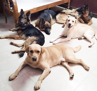 Rosey Daycare and boarding