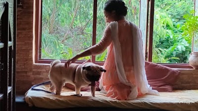 Snouters - Pet Boarding in Delhi