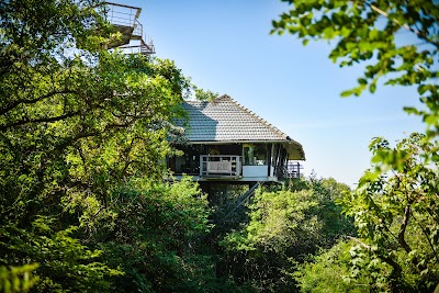 The Machan, Lonavala