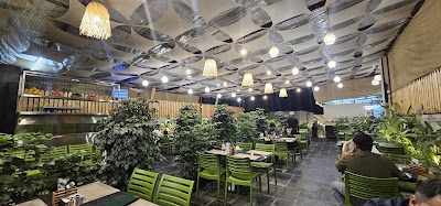 Veganosaurus Kitchen