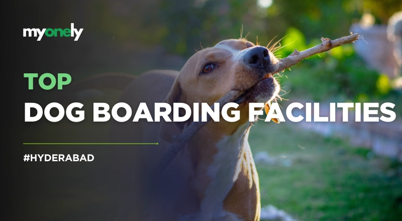 Top 10 Dog Boarding Facilities in Hyderabad