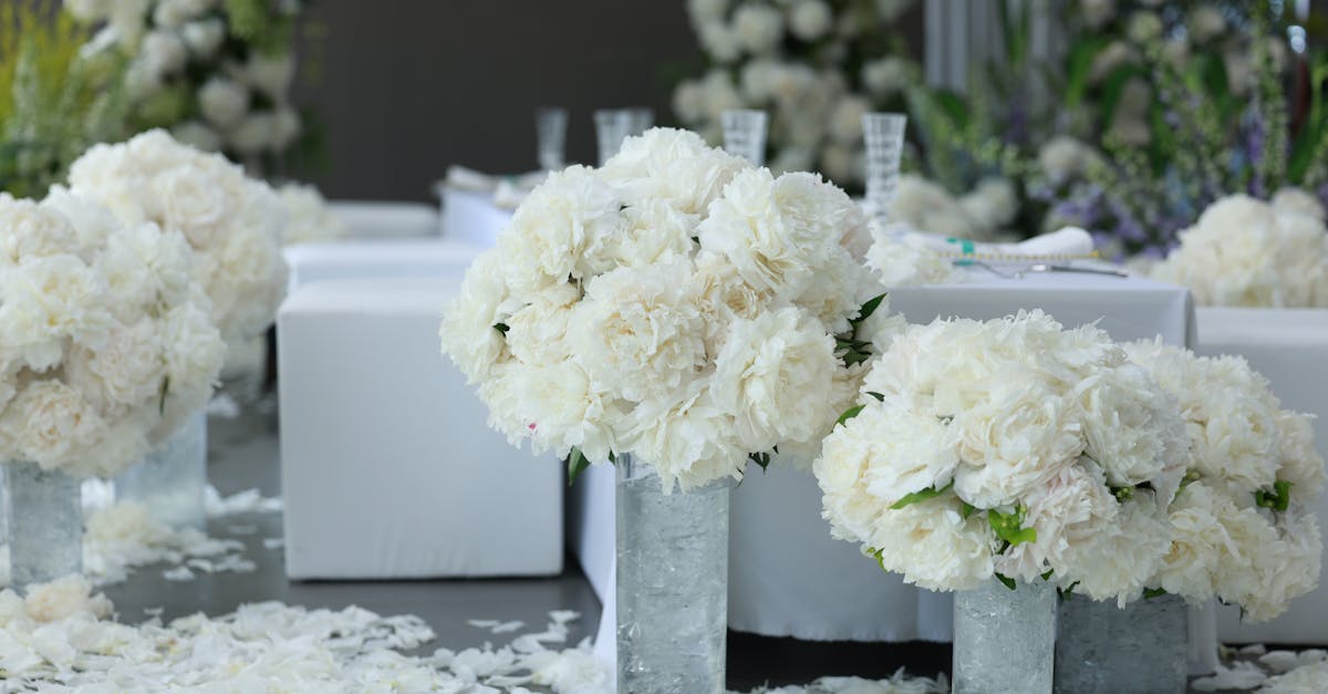 Premier Wedding Planners in Mumbai