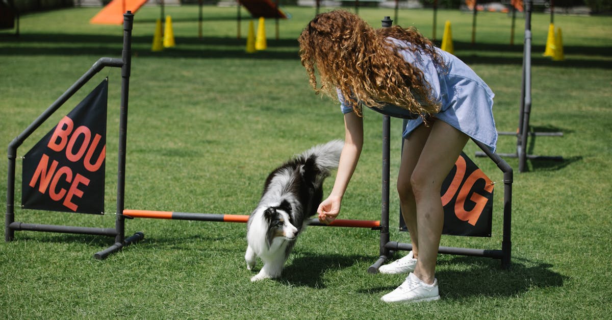 Best Dog Trainers in Bangalore