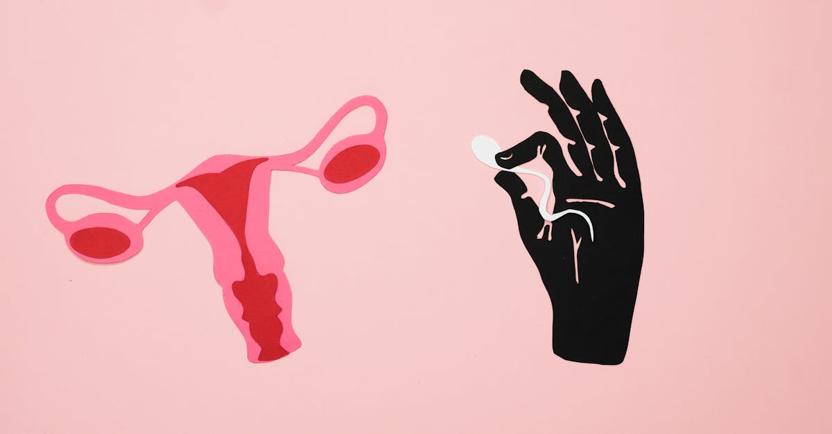 Leading IVF Centres in Delhi