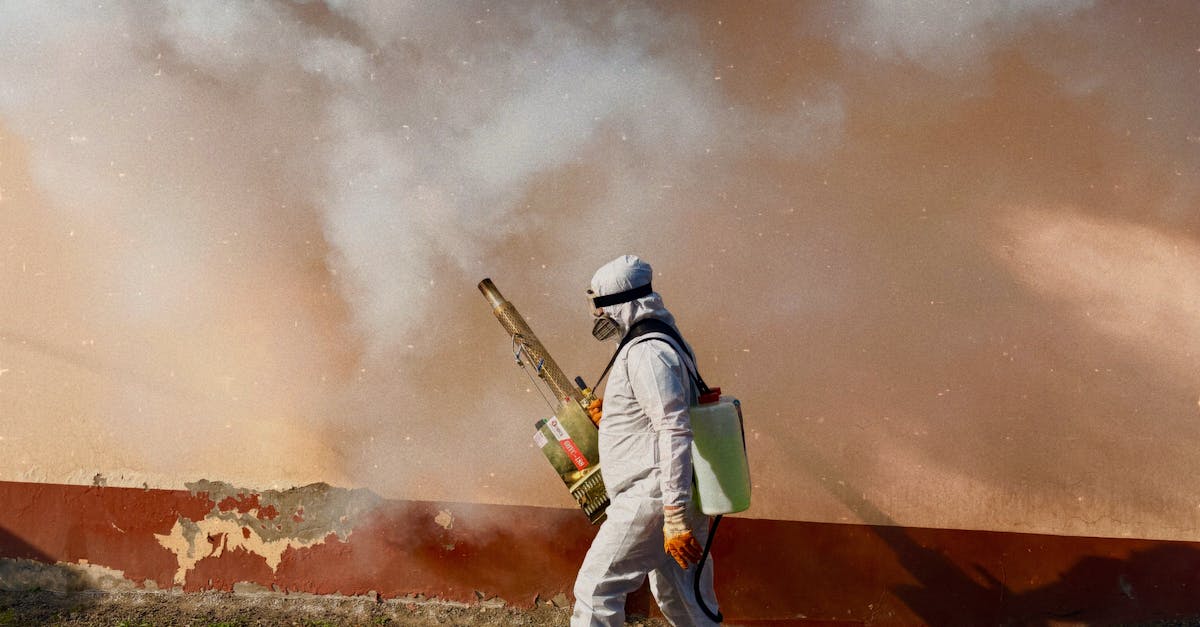 Best Pest Control Services in Delhi