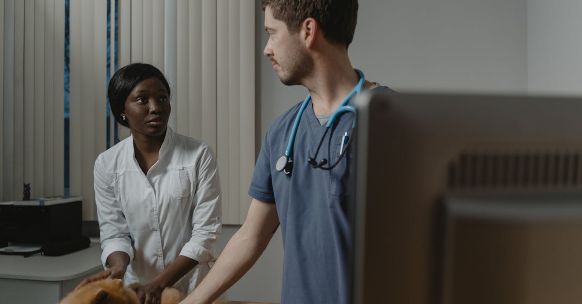 Top Veterinary Clinics in Hyderabad