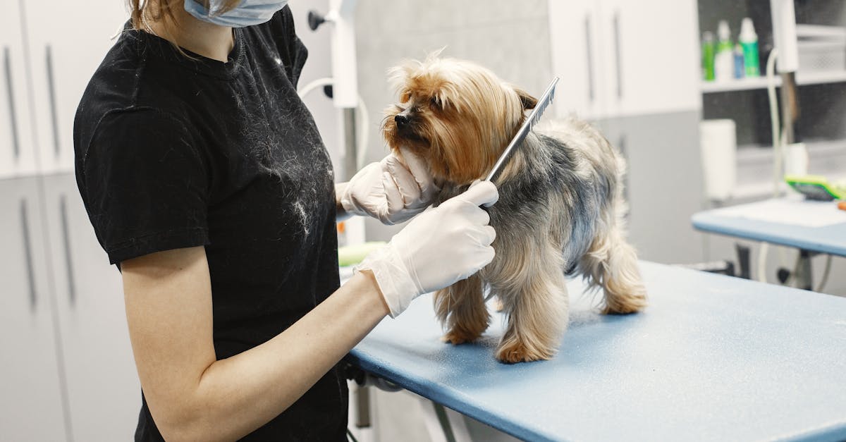 Trusted Pet Grooming Salons in Bangalore