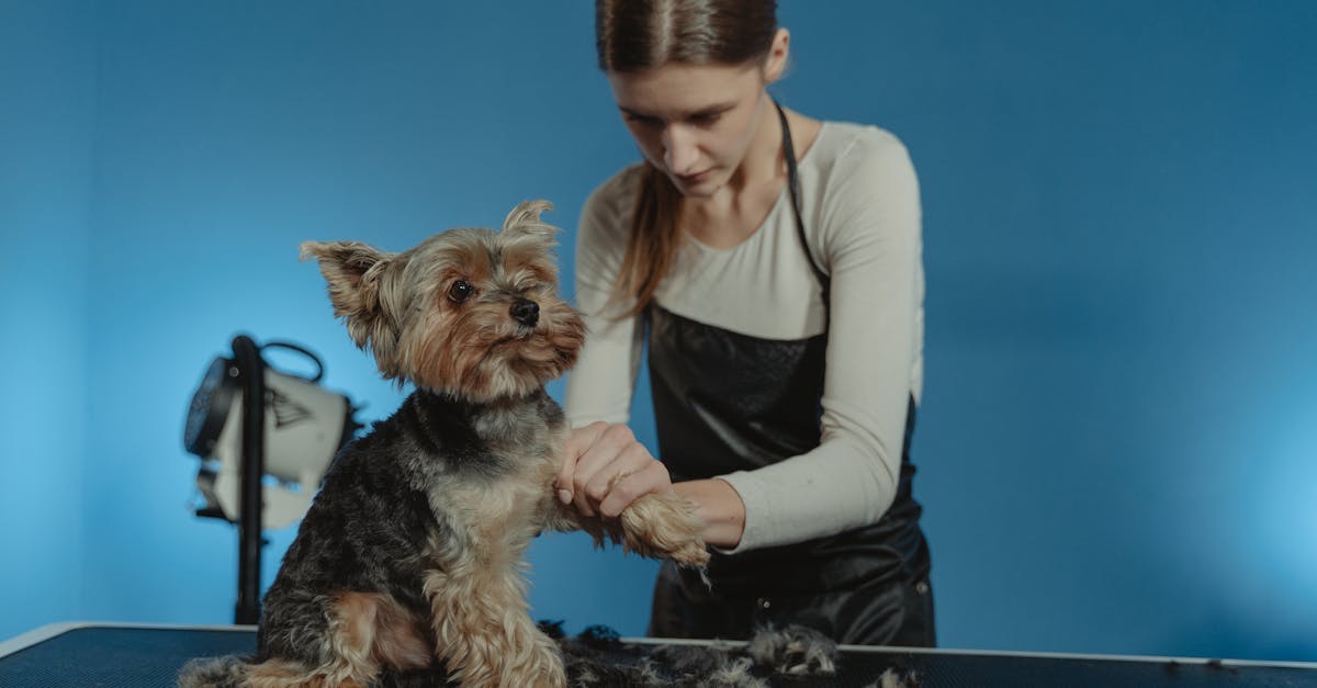 Trusted Pet Grooming Salons in Pune